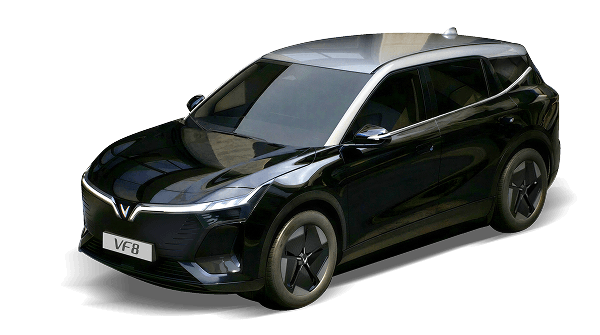 VF8 New Jet Black Body - Stealth Gray Roof