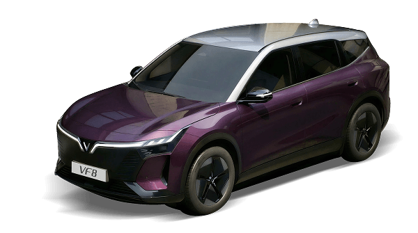 VF8 New Mysterioso Purple Body - Stealth Gray Roof