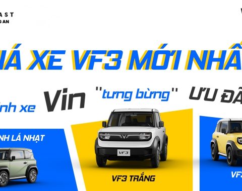 VinFast VF 3 tại showroom VinFast VFG Long An